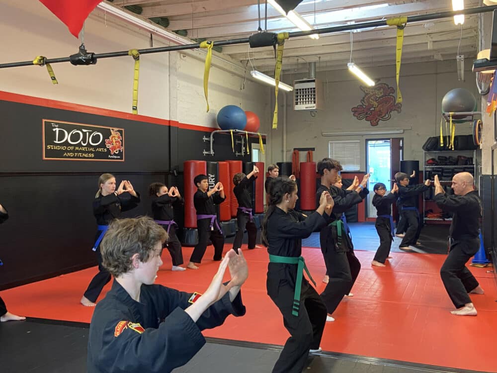 The Marin Dojo, Inc. Kids Martial Arts Program